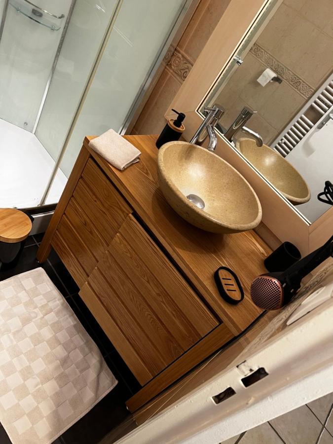 Apartament Chez Les Freds Chalon-sur-Saône Zewnętrze zdjęcie